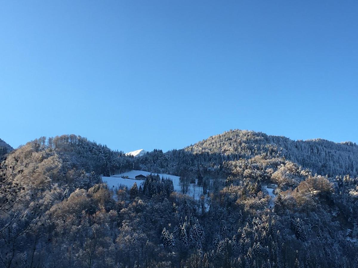 Nant D Ant Leilighet Samoëns Eksteriør bilde
